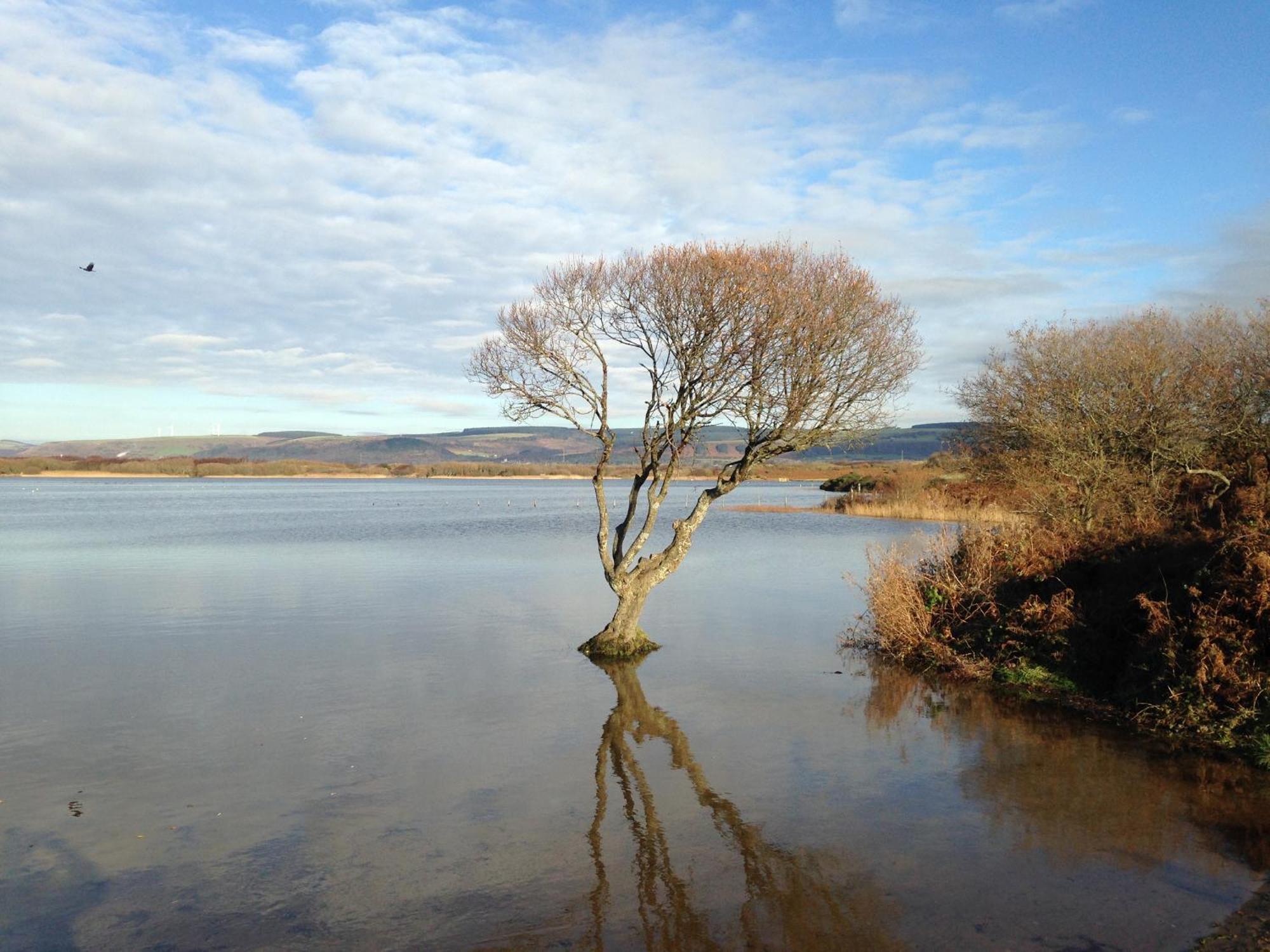 Kenfig Farm Villa Bridgend  Bagian luar foto